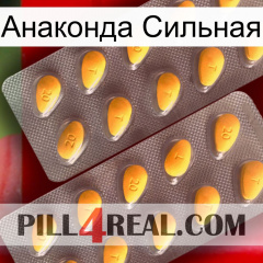 Анаконда Сильная cialis2